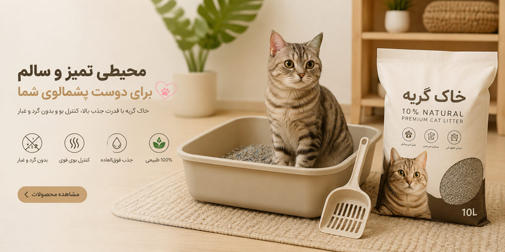 slide-image-undefined